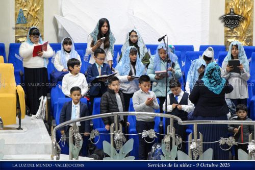 091025-6 copia