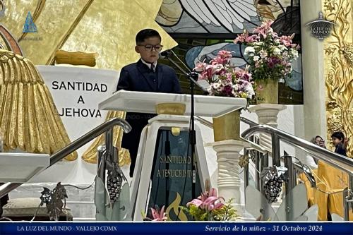 servicio311024-6